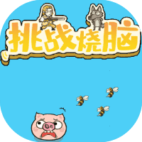 挑战烧脑-免广告-休闲小游戏