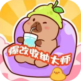 爆改收纳大师 免广-休闲小游戏